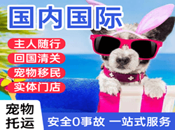 格尔木航空快递国际宠物托运 【国
